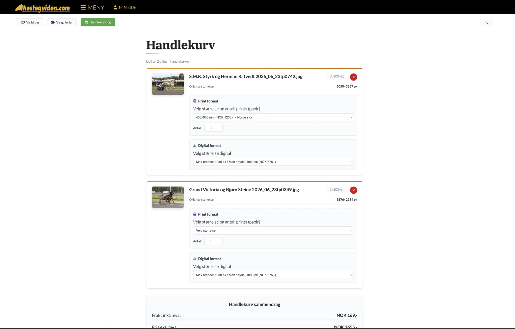 Handlekurv med valg av trykkformat, digitalt format og ordresammendrag